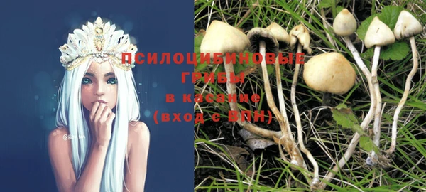 эйфоретик Кулебаки